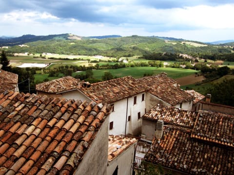 Neighbourhood, City view