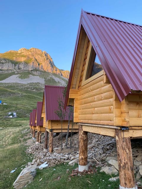 Rural Household MINIĆ - Kapetanovo jezero Hostel in Montenegro