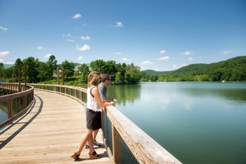 Lake view, Mountain view, group of guests