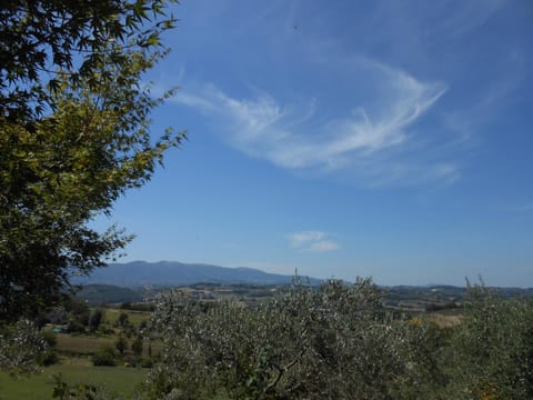 Villa Milù Apartment in Spoleto