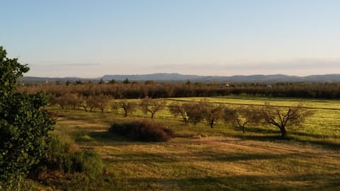 Natural landscape, View (from property/room)