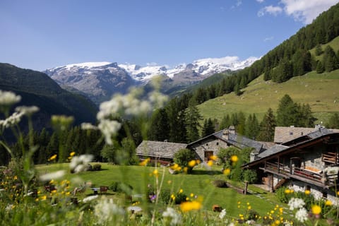 Natural landscape, Mountain view