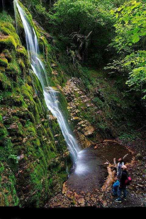 Hiking