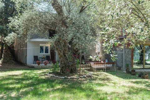Patio, Facade/entrance, Garden, Garden view