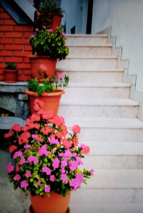 Apartments Cvita Apartment in Split-Dalmatia County