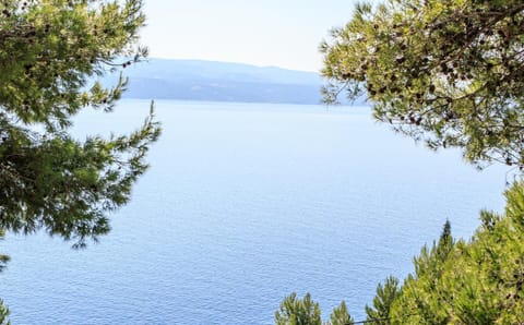 Apartments Cvita Apartment in Split-Dalmatia County