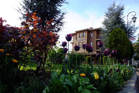 Facade/entrance, Garden