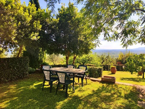 Spring, Garden, Dining area, Garden view
