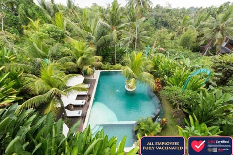 Natural landscape, Pool view, Swimming pool, sunbed