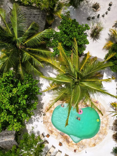 Natural landscape, Garden, Garden view, Pool view