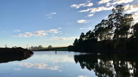Robin Hoods Well Farm Stay Farm Stay in Tasmania