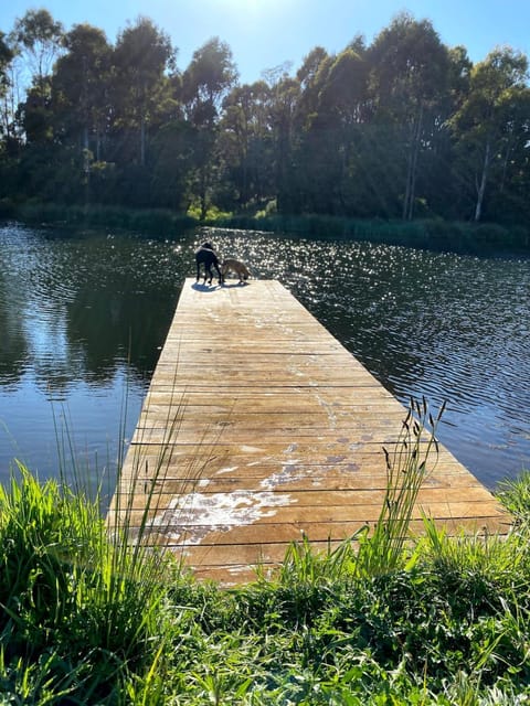 Robin Hoods Well Farm Stay Farm Stay in Tasmania