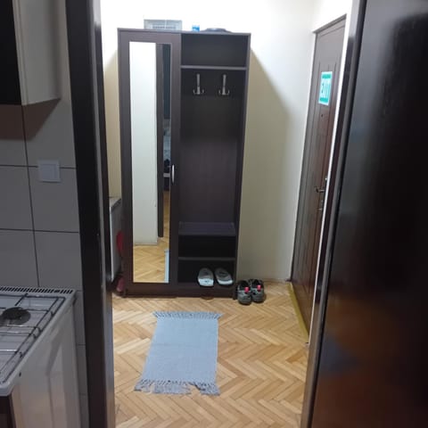 Apartment Viktor 2 stan na dan Apartment in Vojvodina