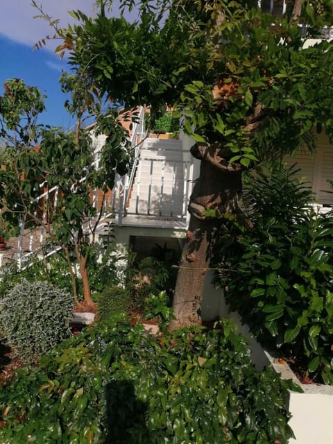 Apartman LUCIJA Apartment in Korčula