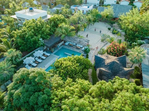 Bird's eye view, Spa and wellness centre/facilities, Pool view