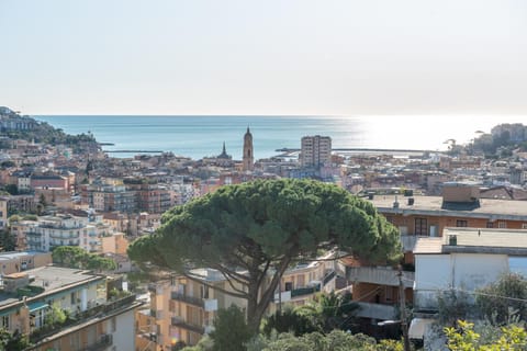Day, Natural landscape, Bird's eye view, City view, Sea view