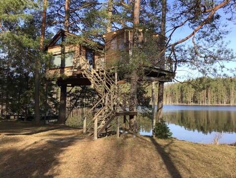 Lake view