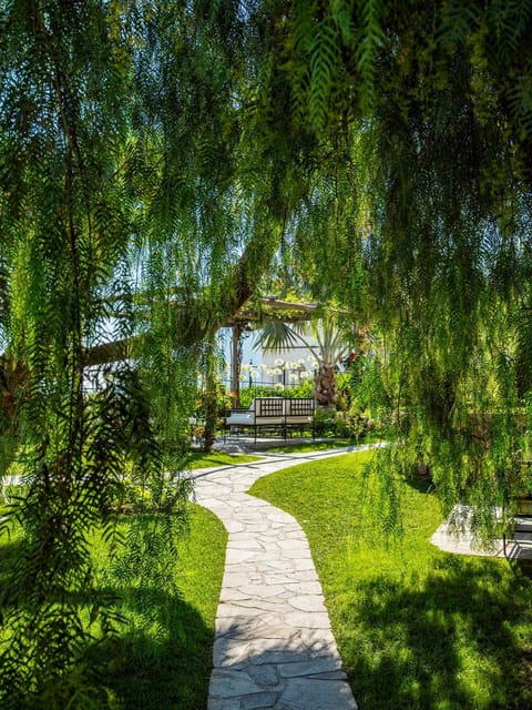 Day, Natural landscape, Garden, Garden view
