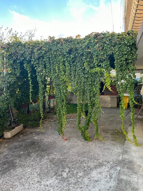 Apartment Roma Apartment in Šibenik-Knin County, Croatia