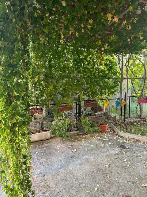 Apartment Roma Apartment in Šibenik-Knin County, Croatia