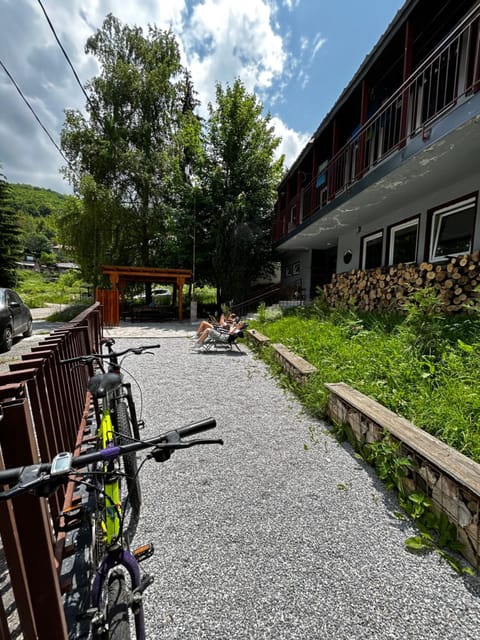 Spring, Natural landscape, Cycling