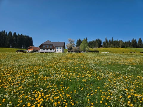 Lorenzenhäusle Titisee-Neustadt Apartment in Titisee-Neustadt