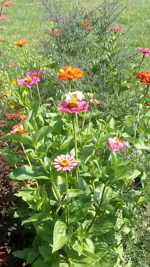 il Fienile di Penelope Country House in Emilia-Romagna