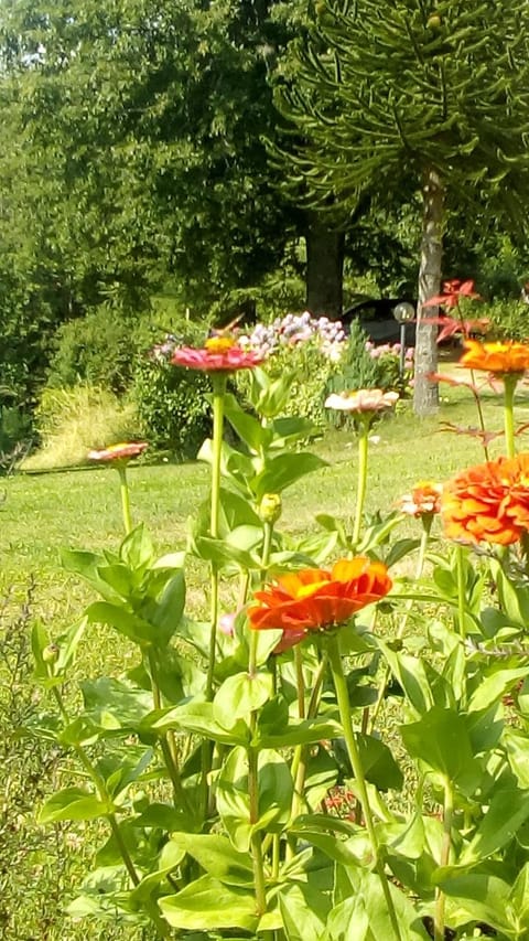 il Fienile di Penelope Country House in Emilia-Romagna