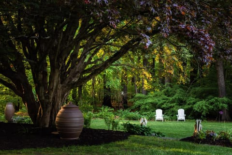 Spring, Day, Summer, Garden, On site