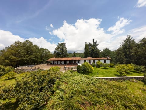 Bird's eye view, Garden view
