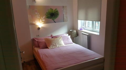 Stella Di Notte Hostel in Belgrade