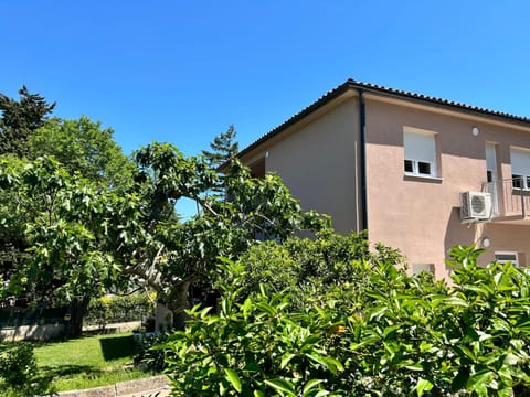 Apartments Branko Apartment in Banjole