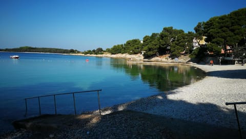 Apartments Branko Apartment in Banjole