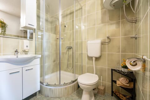 Shower, Toilet, Decorative detail