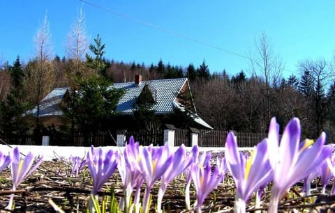 Property building, Spring