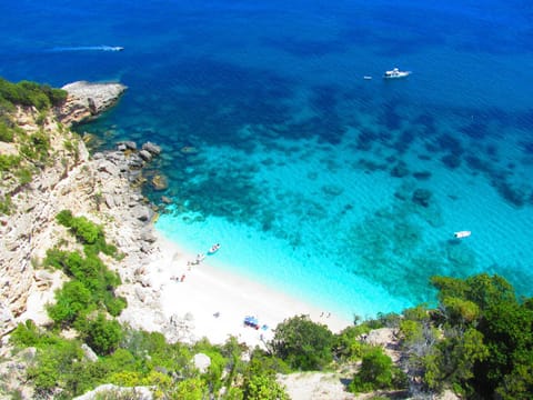 Nearby landmark, Natural landscape, Beach