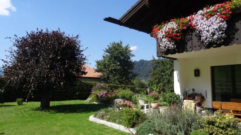 Facade/entrance, Spring, Summer