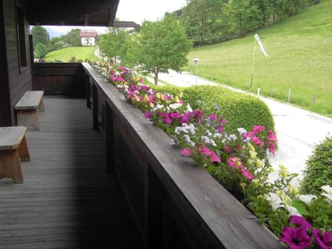 Spring, Decorative detail, Garden view