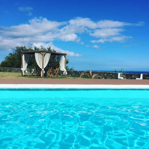 Day, Pool view, Swimming pool, sunbed