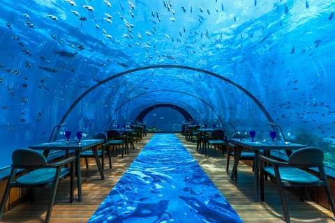 Restaurant/places to eat, On site