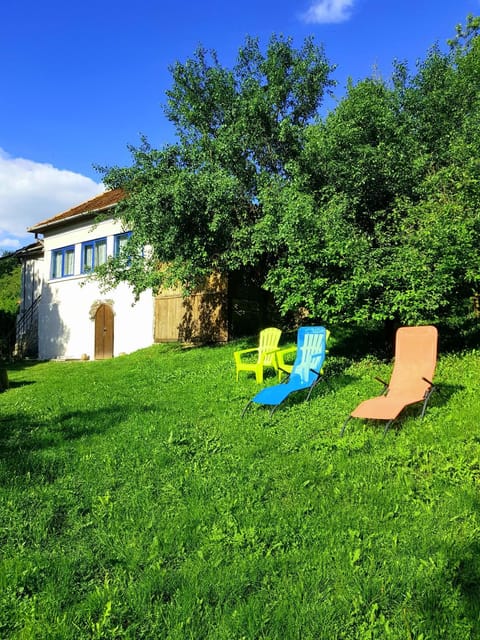 Natural landscape, Garden, Garden view, sunbed