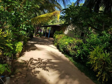Garden, Garden