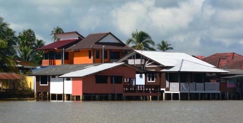 Property building, Natural landscape, River view