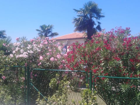 Apartments Elda Apartment in Poreč