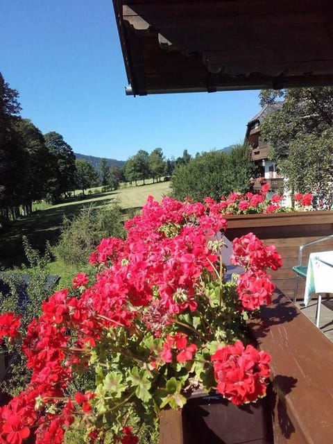 Balcony/Terrace, Garden view, Mountain view