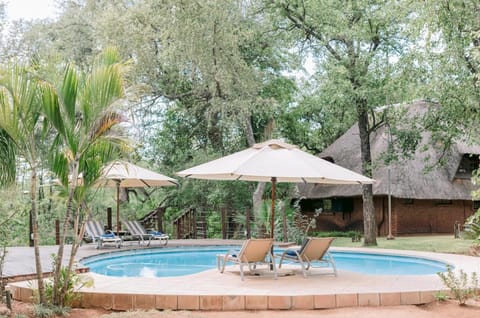 Patio, Day, Natural landscape, Garden view, Pool view, Swimming pool, sunbed