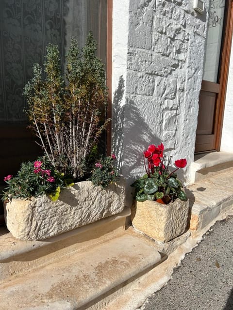 Il Trullo dei Sogni Apartment in Province of Taranto