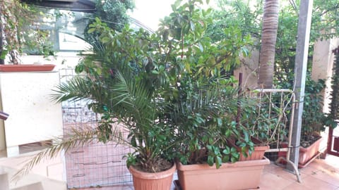 La Palma Residence Apartment in Torre San Giovanni