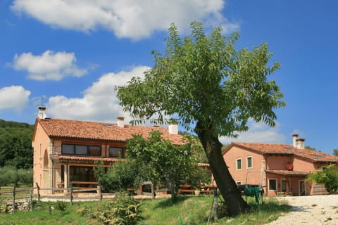 Facade/entrance, Bird's eye view
