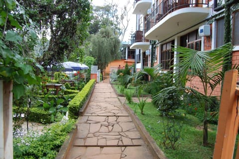 Garden view